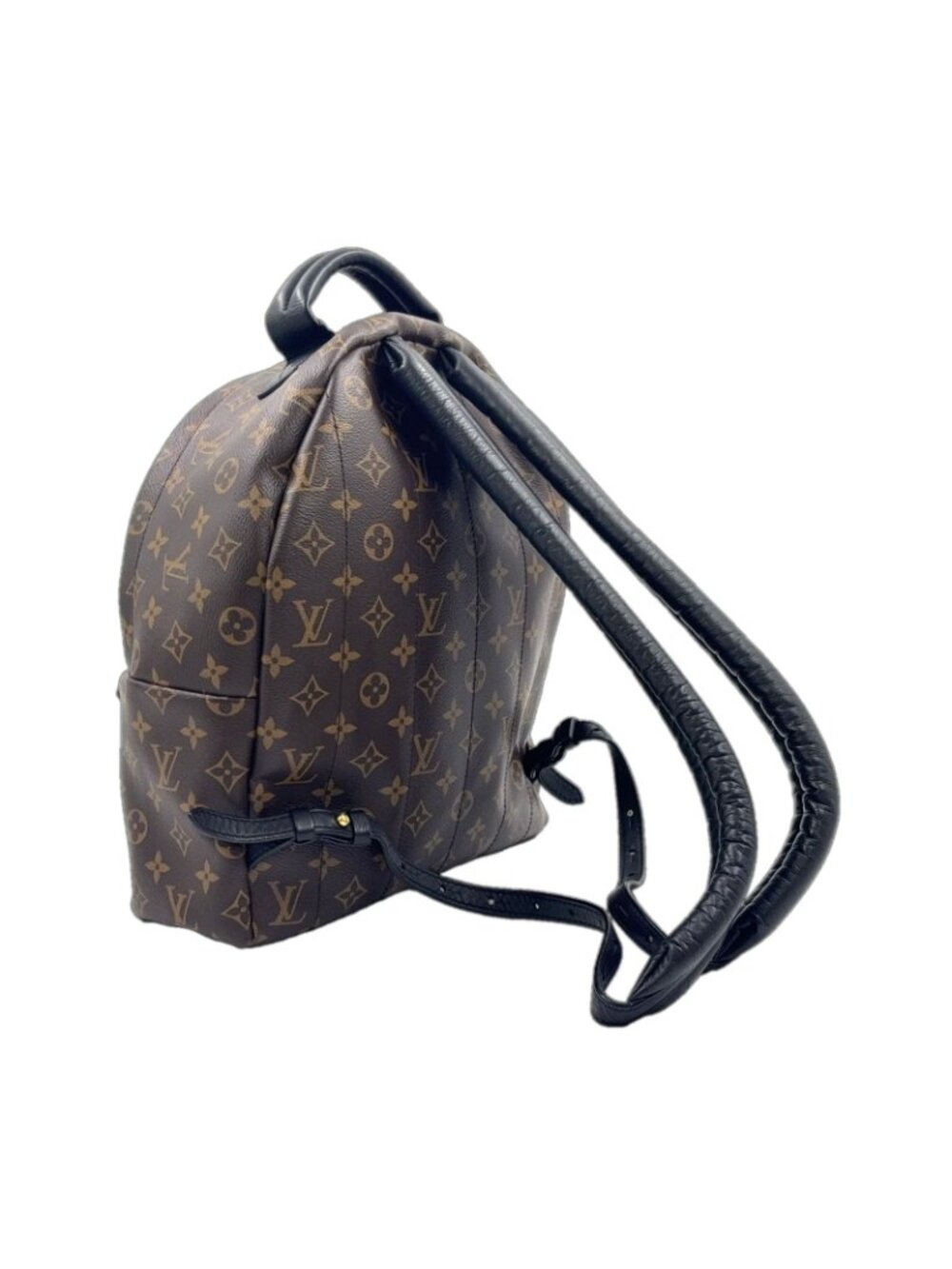 Louis Vuitton Palm Springs Backpack MM Monogram Leather Brown Gold - Picture 2 of 15